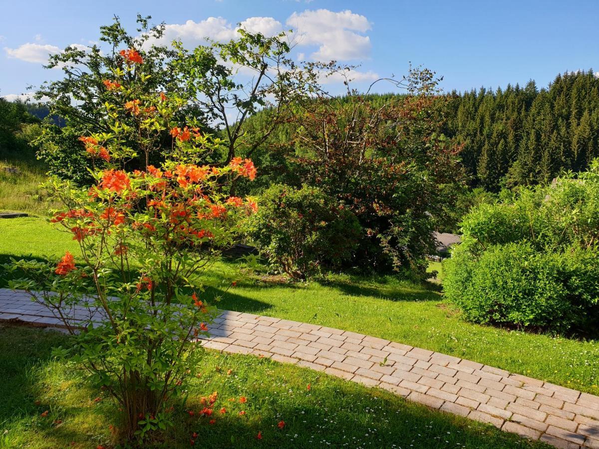 Apartment Augustenhofblick Бад Ласфе Екстериор снимка